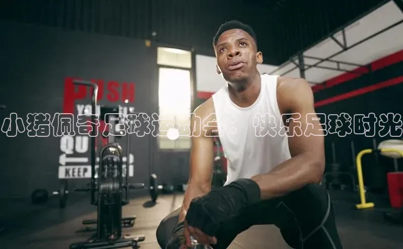 乐虎u66游戏官网入口小红书小猪佩奇足球运动会：快乐足球时光