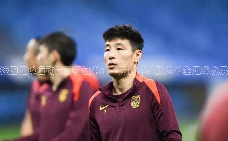 乐虎子国际唯一百度学术校园足球运动员等级证书：一网打尽，助力学生足球发展