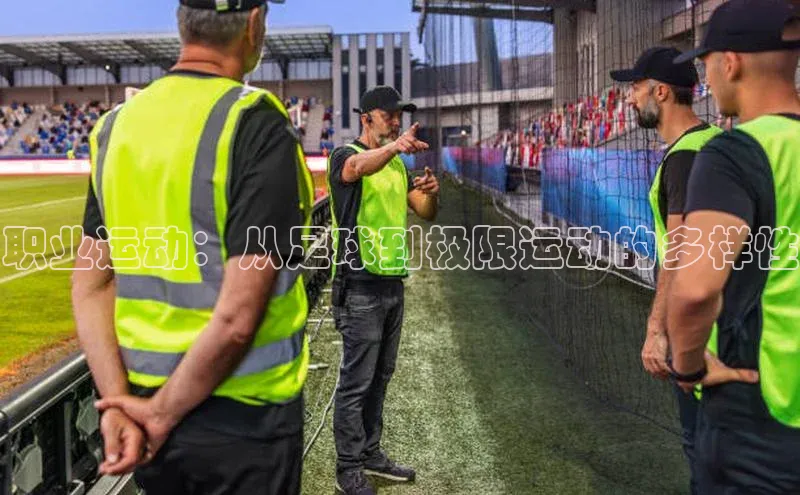 乐虎唯一)官网挪威主权基金职业运动：从足球到极限运动的多样性