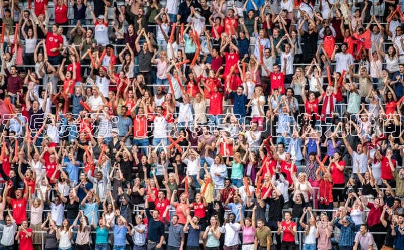 乐虎唯一)官网挪威主权基金动感赛场：顶级赛事中的魅力瞬间