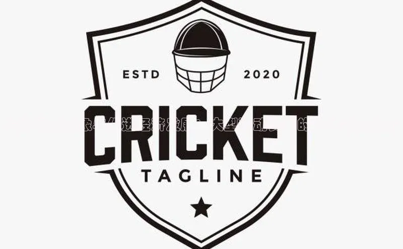 提升国家形象与促进经济发展：大型运动赛事的多维效益分析