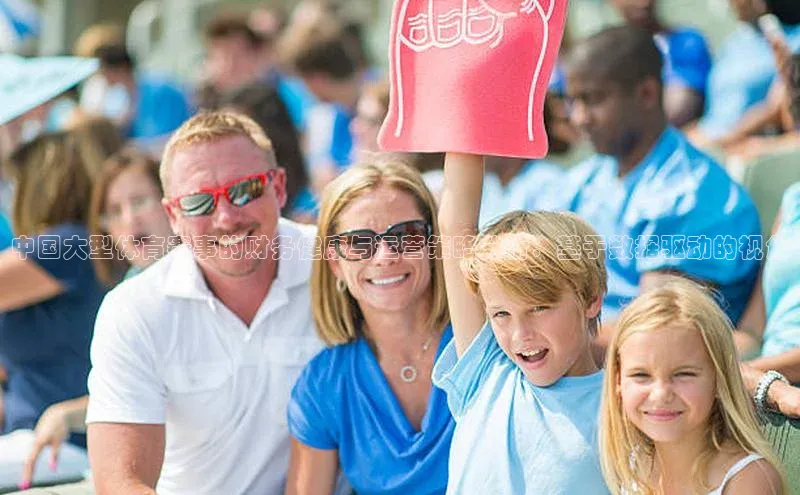 中国大型体育赛事的财务健康与运营策略分析：基于数据驱动的视角