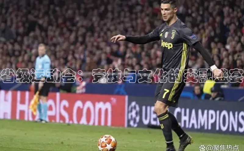 省级运动会：竞技与文化的交融盛宴