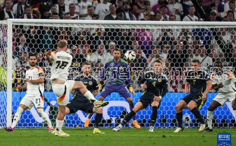 燃动全场：深入剖析当下的热门运动赛事