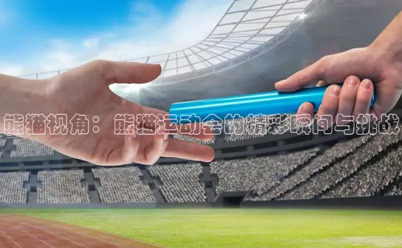 熊猫视角：熊猫运动会的精彩瞬间与挑战