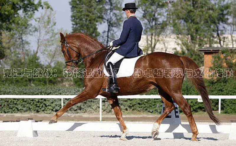 竞速与挑战：轮椅运动赛事中的卓越表现与文化传承