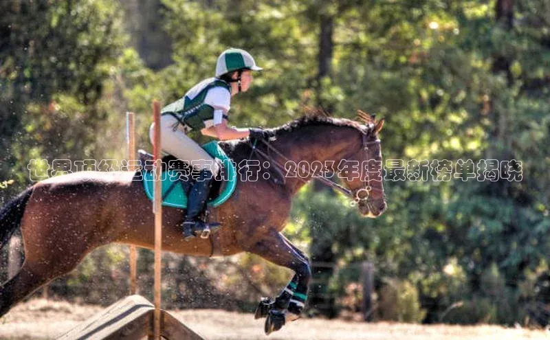 世界顶级运动赛事排行：2023年度最新榜单揭晓