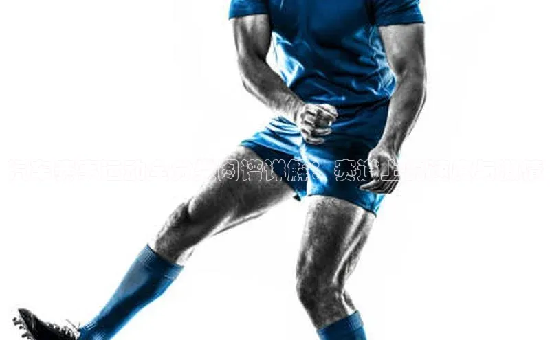 汽车赛事运动全分类图谱详解：赛道上的速度与激情