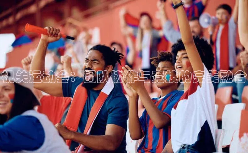 机关运动会：团队协作与竞技的完美融合