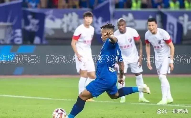 绿茵旋舞：高尔夫赛事盛宴的全方位与深度分析