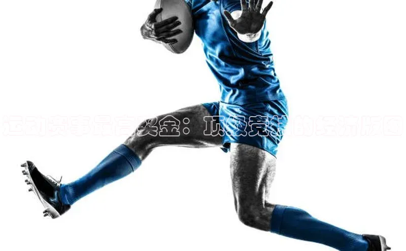 运动赛事最高奖金：顶级竞技的经济版图