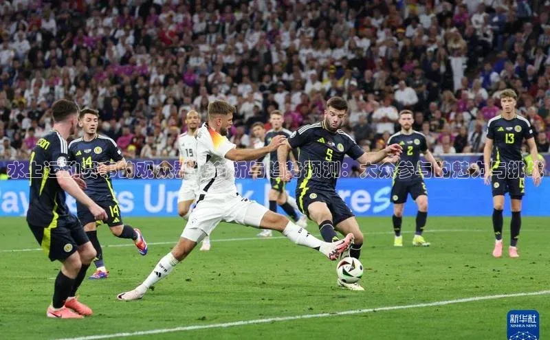 水上运动赛事的观众群体分析与趋势预测：大众参与的魅力与挑战