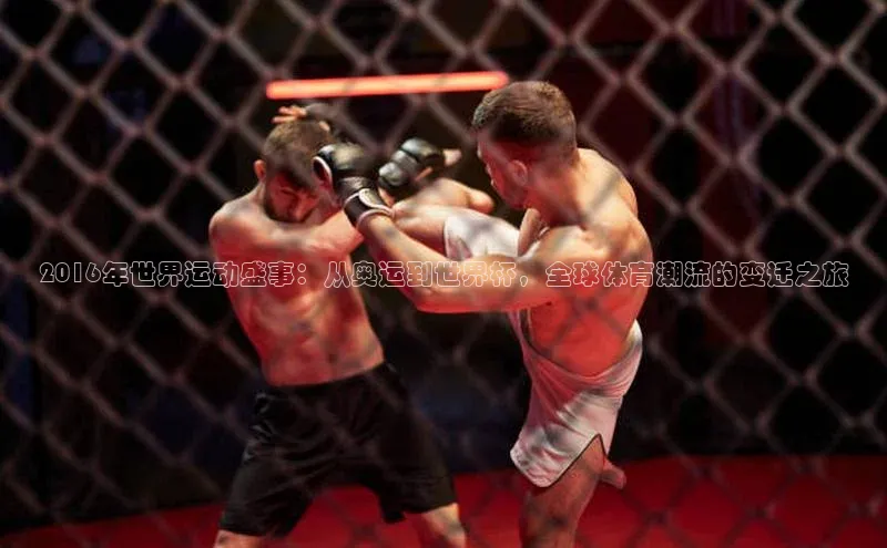 2016年世界运动盛事：从奥运到世界杯，全球体育潮流的变迁之旅