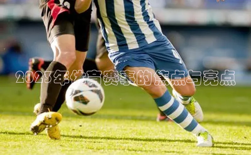 2023年体育赛事的焦点与亮点