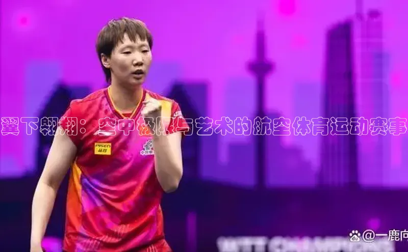 翼下翱翔：空中极限与艺术的航空体育运动赛事